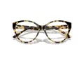 Jimmy Choo JC 3009 5004 54 Women glasses