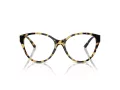 Jimmy Choo JC 3009 5004 54 Women glasses