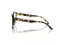 Jimmy Choo JC 3009 5004 54 Women glasses