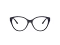 Jimmy Choo JC 3009 5016 52 Women glasses