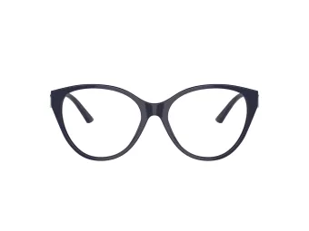 Jimmy Choo JC 3009 5016 52 Women glasses