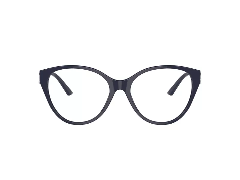 Jimmy Choo JC 3009 5016 52 Women glasses