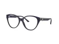 Jimmy Choo JC 3009 5016 52 Women glasses