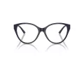 Jimmy Choo JC 3009 5016 52 Women glasses