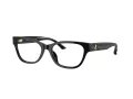 Jimmy Choo JC 3010U 5000 52 Women glasses