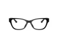 Jimmy Choo JC 3010U 5000 54 Women glasses