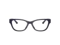 Jimmy Choo JC 3010U 5016 52 Women glasses