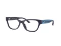 Jimmy Choo JC 3010U 5016 52 Women glasses
