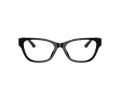Jimmy Choo JC 3010U 5017 54 Women glasses
