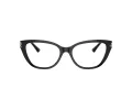 Jimmy Choo JC 3011 5000 54 Women glasses