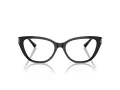 Jimmy Choo JC 3011 5000 54 Women glasses