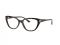 Jimmy Choo JC 3011 5002 54 Women glasses