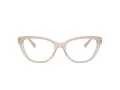 Jimmy Choo JC 3011 5025 52 Women glasses