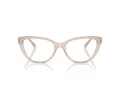 Jimmy Choo JC 3011 5025 52 Women glasses
