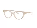 Jimmy Choo JC 3011 5025 54 Women glasses