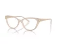 Jimmy Choo JC 3011 5025 54 Women glasses