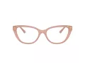 Jimmy Choo JC 3011 5027 54 Women glasses