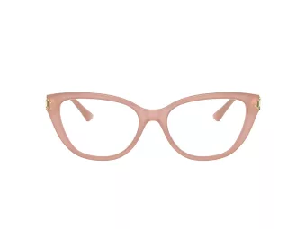 Jimmy Choo JC 3011 5027 54 Women glasses
