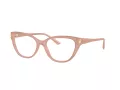 Jimmy Choo JC 3011 5027 54 Women glasses
