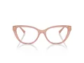 Jimmy Choo JC 3011 5027 54 Women glasses