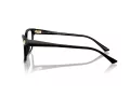 Jimmy Choo JC 3012 5000 55 Women glasses