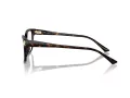 Jimmy Choo JC 3012 5002 55 Women glasses