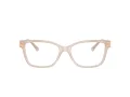 Jimmy Choo JC 3012 5025 53 Women glasses