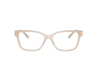 Jimmy Choo JC 3012 5025 53 Women glasses