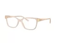 Jimmy Choo JC 3012 5025 53 Women glasses