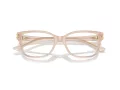 Jimmy Choo JC 3012 5025 53 Women glasses