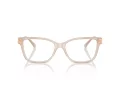 Jimmy Choo JC 3012 5025 53 Women glasses