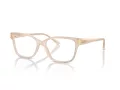 Jimmy Choo JC 3012 5025 53 Women glasses