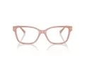 Jimmy Choo JC 3012 5027 53 Women glasses