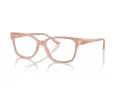 Jimmy Choo JC 3012 5027 53 Women glasses
