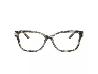 Jimmy Choo JC 3012 5068 53 Women glasses