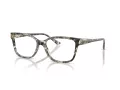 Jimmy Choo JC 3012 5068 53 Women glasses