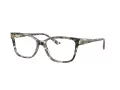 Jimmy Choo JC 3012 5068 55 Women glasses