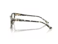 Jimmy Choo JC 3012 5068 55 Women glasses