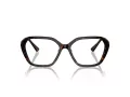 Jimmy Choo JC 3013U 5002 53 Women glasses