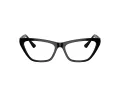 Jimmy Choo JC 3014 5000 54 Women glasses