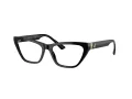 Jimmy Choo JC 3014 5000 54 Women glasses