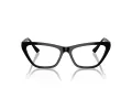 Jimmy Choo JC 3014 5000 54 Women glasses