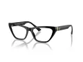 Jimmy Choo JC 3014 5000 54 Women glasses
