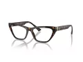 Jimmy Choo JC 3014 5002 52 Women glasses