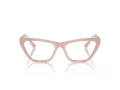 Jimmy Choo JC 3014 5014 54 Women glasses