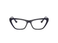 Jimmy Choo JC 3014 5023 52 Women glasses