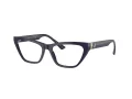 Jimmy Choo JC 3014 5023 52 Women glasses