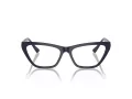 Jimmy Choo JC 3014 5023 52 Women glasses