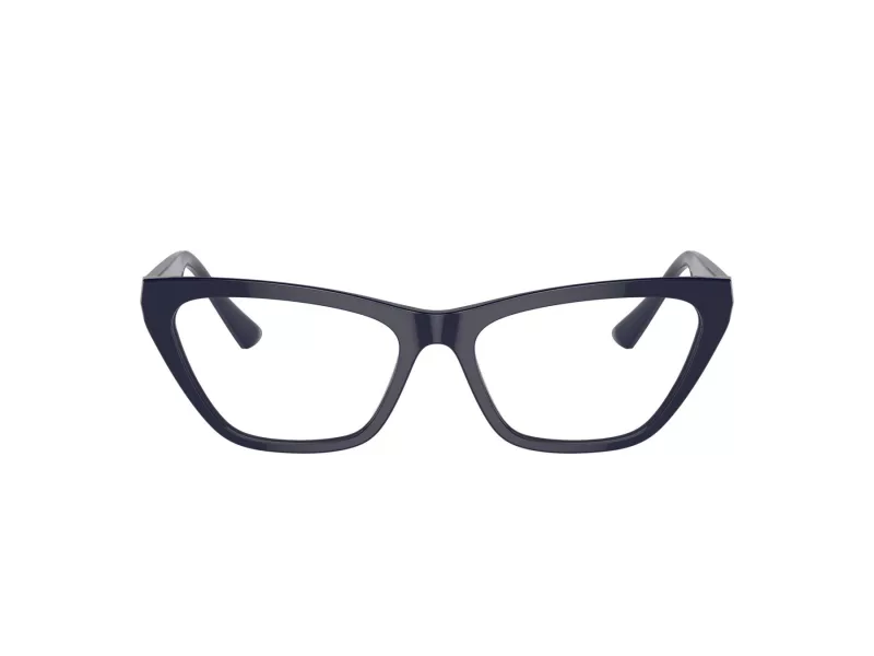 Jimmy Choo JC 3014 5023 54 Women glasses