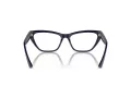 Jimmy Choo JC 3014 5023 54 Women glasses